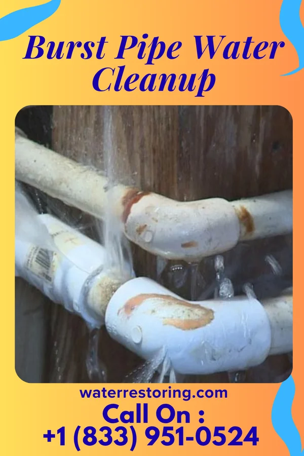 Burst Pipe Water Cleanup in Hillsboro, WV