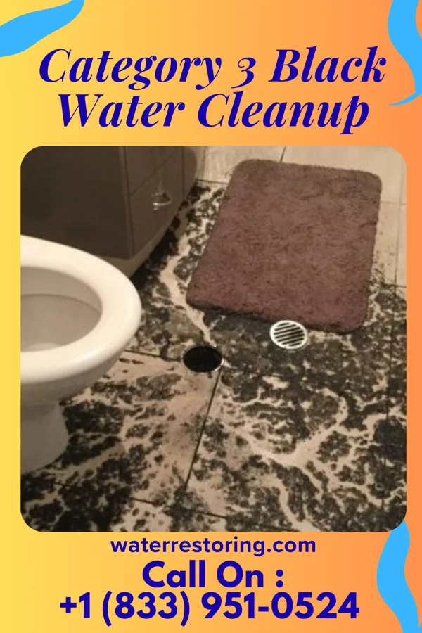 Category 3 Black Water Cleanup in Hillsboro, WV