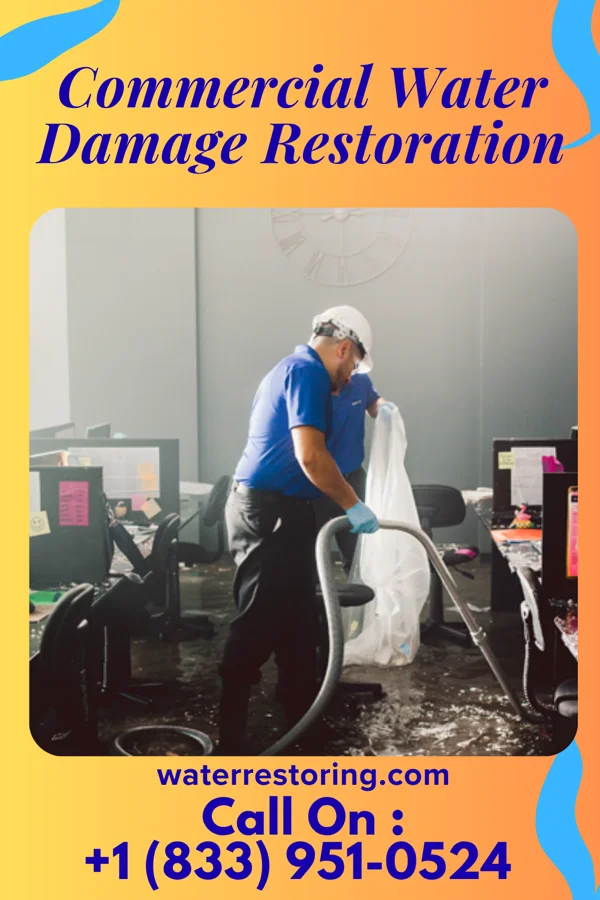 Commercial Water Damage Restoration in Hillsboro, WV