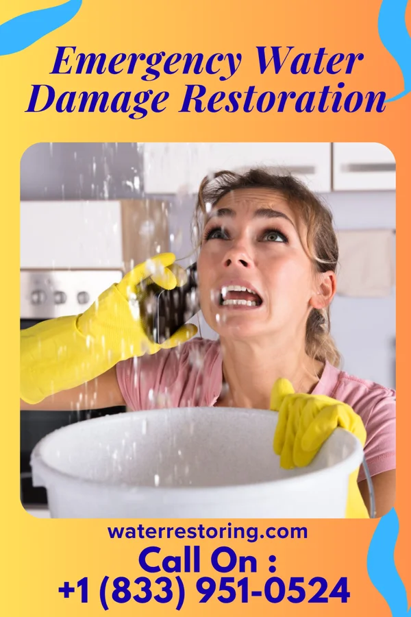 Emergency Water Damage Restoration in Hillsboro, WV