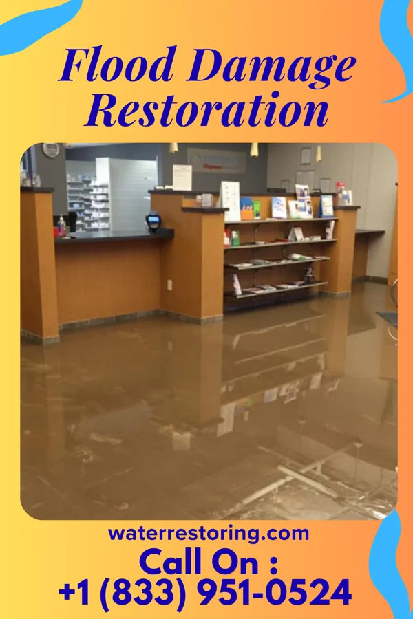 Flood Damage Restoration in Hillsboro, WV