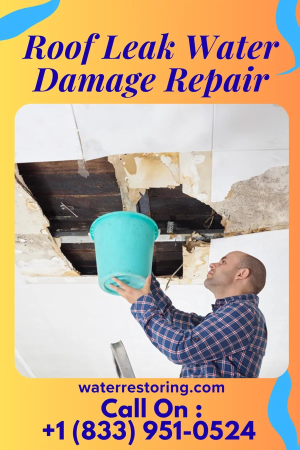Roof Leak Water Damage Repair in Hillsboro, WV