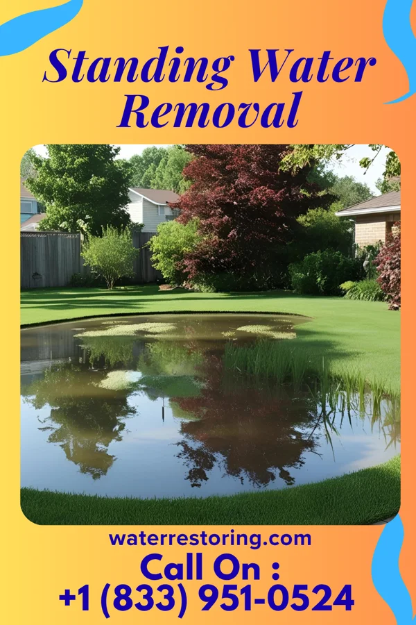 Standing Water Removal in Hillsboro, WV
